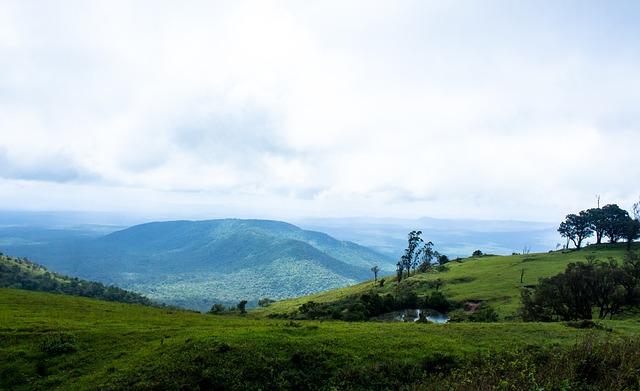 以同样来自 以同样来自
