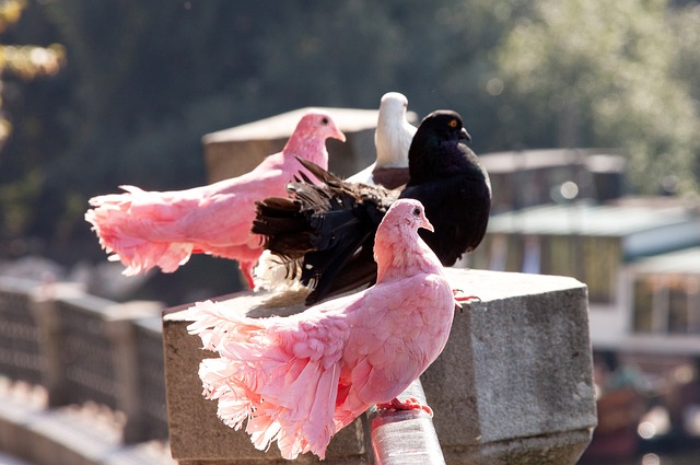 化与体育思 化与体育思