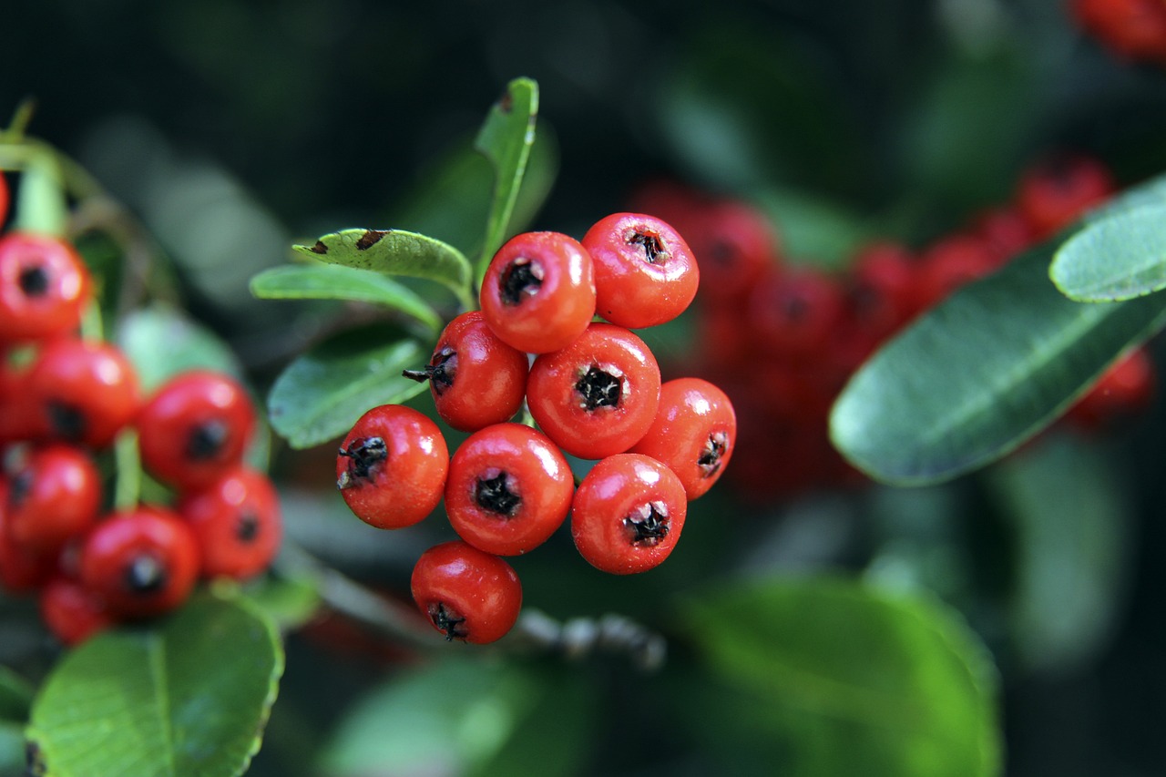 而是经历了 而是经历了